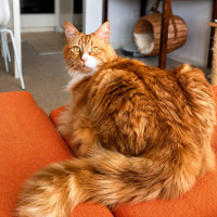 Photo of Pablo