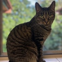 Photo of Millie