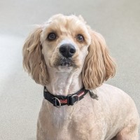 Photo of 🐝 Charlie 6852 🐝