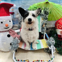 Photo of Rosie 🌹🌞