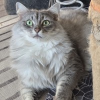 Photo of Zara