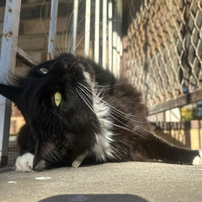 Photo of Lucy