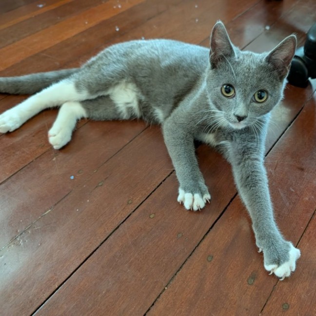 Photo of Oli