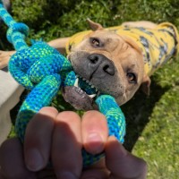 Photo of Spunk