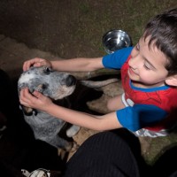 Photo of Bluey 