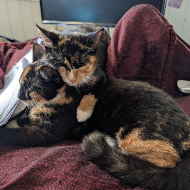 Photo of Molly