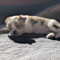 Photo of Loz