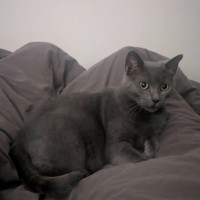 Photo of Tinta