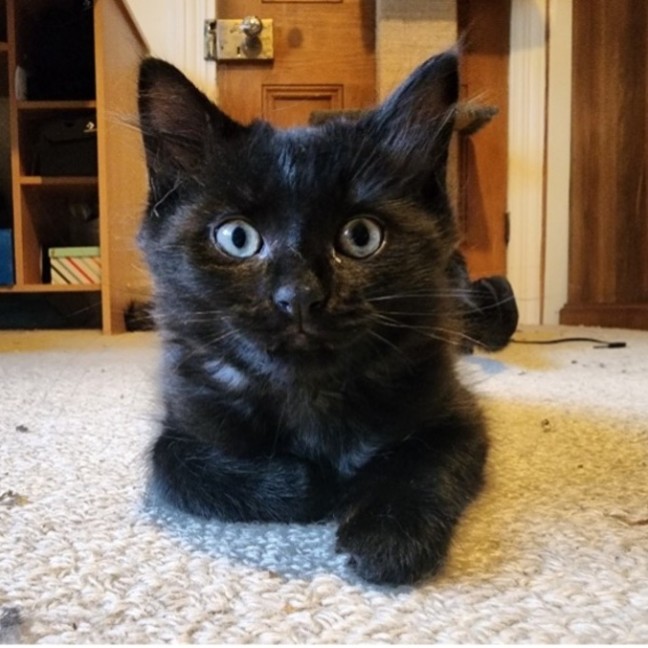 Photo of Molly