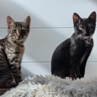 Photo of Millie & Zoe