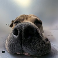 Photo of Spunk