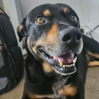 Photo of Doc