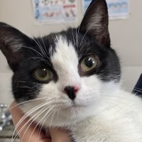 Photo of Daffy