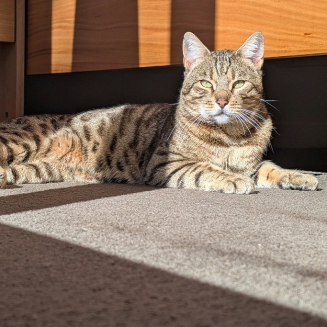 Photo of Leo