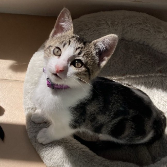 Photo of Elodie