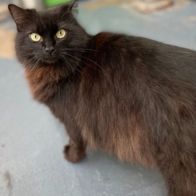 Photo of Alley