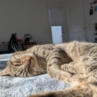 Photo of Wesley