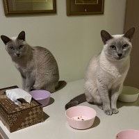 Photo of Justi & Moni