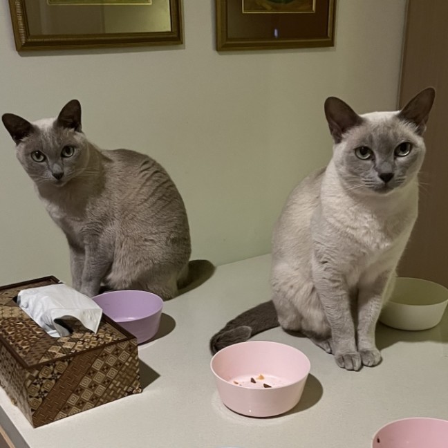 Photo of Justi & Moni