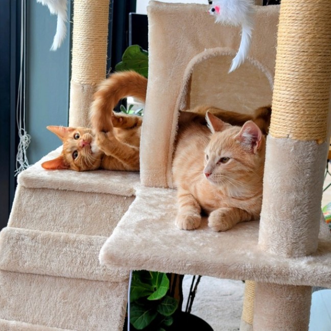 Photo of Georgie And Gianni