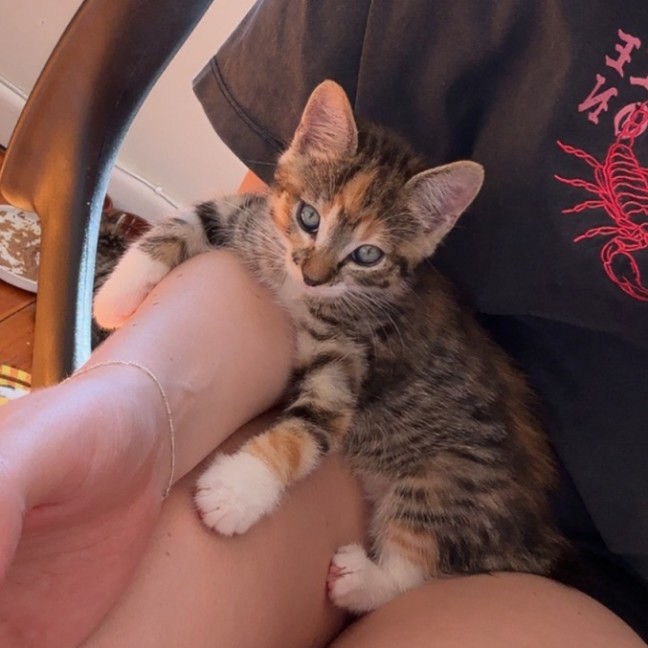 Photo of Mabel