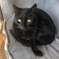 Photo of 🐭 Amara 🐭