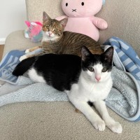 Photo of Evie And Lemme