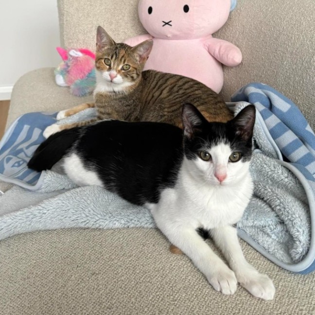 Photo of Evie And Lemme