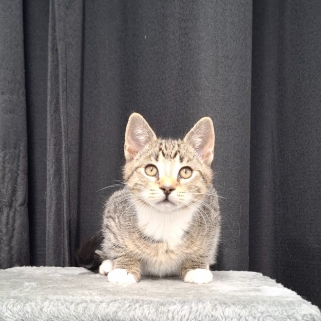 Photo of Troy