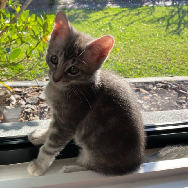 Photo of Storm