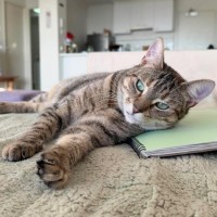Photo of Amber