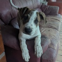 Photo of Allen