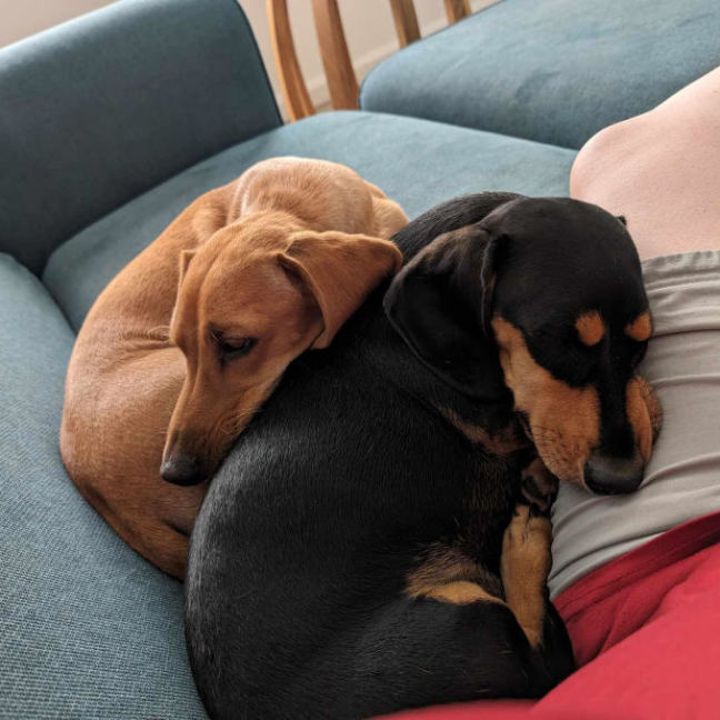 Photo of Bill And Ted