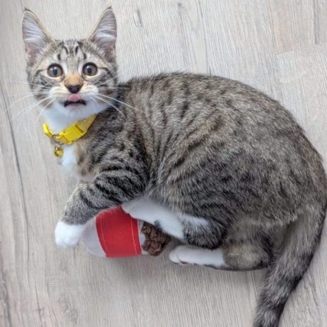 Photo of Turnip