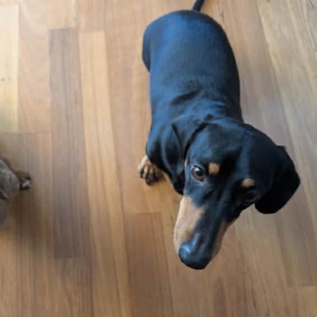 Photo of Liberty And Del