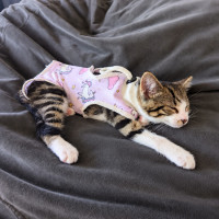Photo of Estelle 