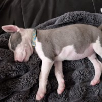 Photo of Leroy