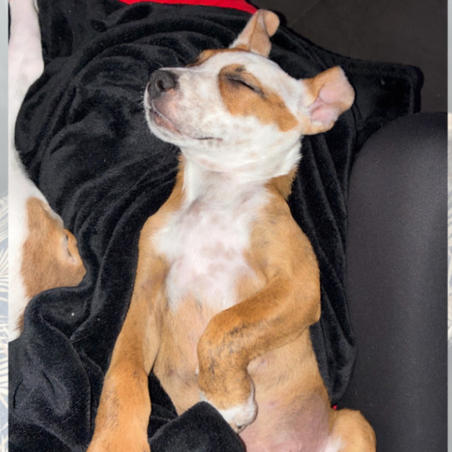 Photo of Cliffy 