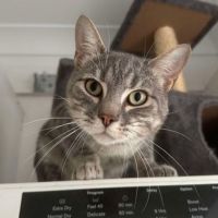Photo of Leo