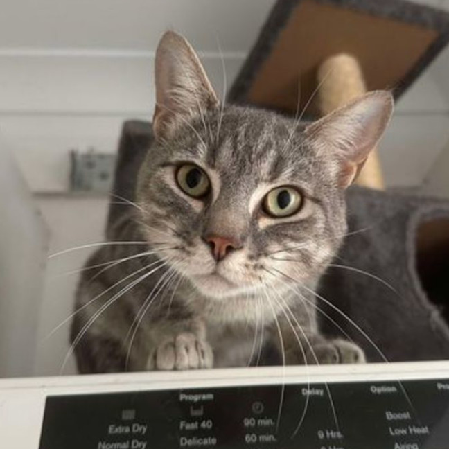 Photo of Leo