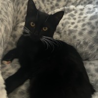 Photo of Nevie