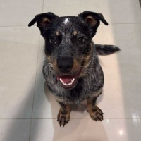 Photo of Zooma