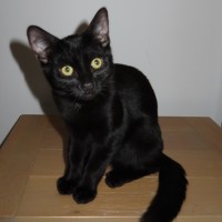 Photo of Giorgio 💙