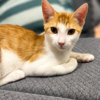 Photo of Bingo