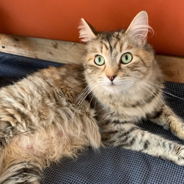 Photo of Myla 💕💕😽