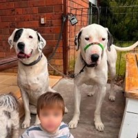 Photo of Max & Axle
