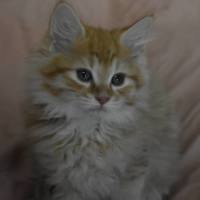 Photo of Elsa