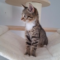 Photo of Alana