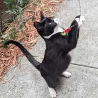 Photo of Michael Teddy 