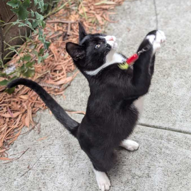 Photo of Michael Teddy 